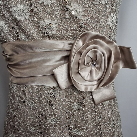 R&M Richards PLUS 14W EMPIRE Stretch Lace Satin Cocktail Party Dress Champagne - Picture 16 of 16